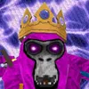 kingvr709