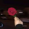 user795096651773