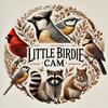 little.birdie.cam