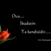 emir.dal21