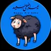 user7088360058288