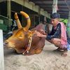 tanatahaks1