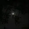 omer_mohamed02