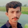 alimardan.shar2