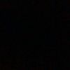 wil_4849