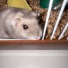 stepan24_