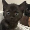 mijooooooo1