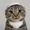 minhvuivereal