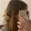 kira_120013