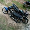radityaahmad7736