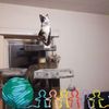 peggy.spargrove