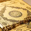 alimahamat1721