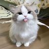 catwithsadness