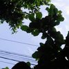 inna.yogya