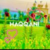 haqqani53