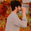 ibrarafridi490