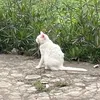 fltaodi569