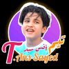 tem.anassayed