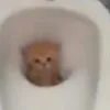 hehehe82137