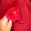 yourasha_007