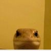 alienboy273