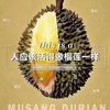 sheng.gao35