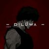 diluwa300