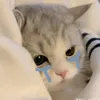 vienvibi3