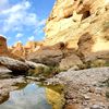 ahmed_705i