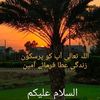 tarique.mohmand