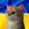 ukraine0520