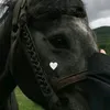 beisan.abdalkader