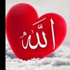 user8507357593679