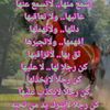 user6015484273869