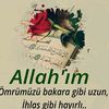 feride83920