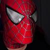 spidermask075