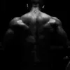vital.forge6