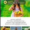 maylay242354