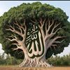 oumi.yassin