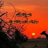 alansary646