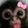 lo.vih1