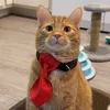 sirrickywhiskers