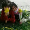 disure_85