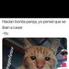 memom3450
