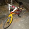 toyol0170