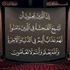 user6161816735479