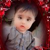 shameerkhan8348