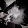 sofiah_53