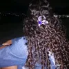 sophia.fernandes531