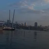 vikusik_0_